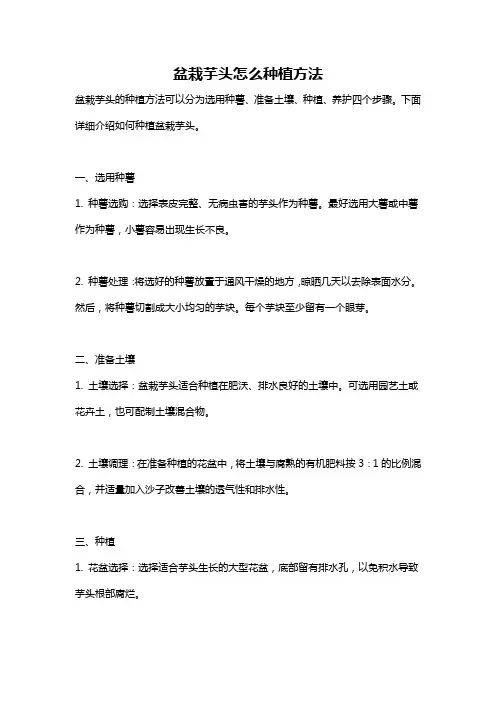 盆栽芋头怎么种植方法