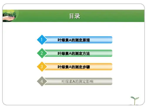 叶绿素A的测定