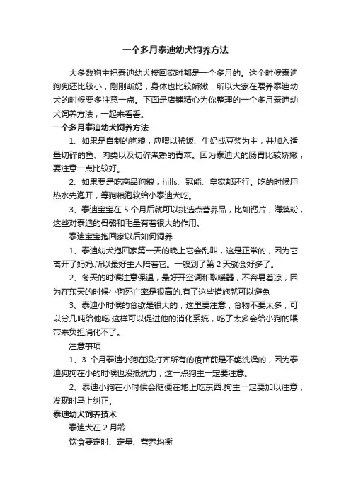 一个多月泰迪幼犬饲养方法