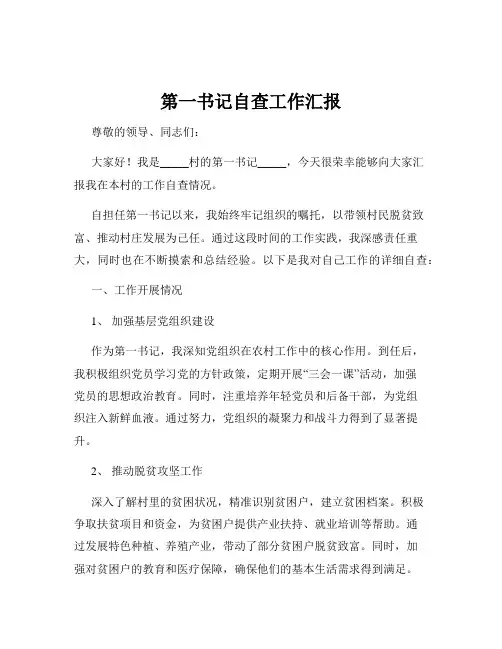 第一书记自查工作汇报