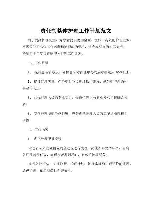 责任制整体护理工作计划范文