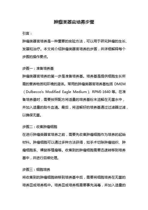 肿瘤类器官培养步骤