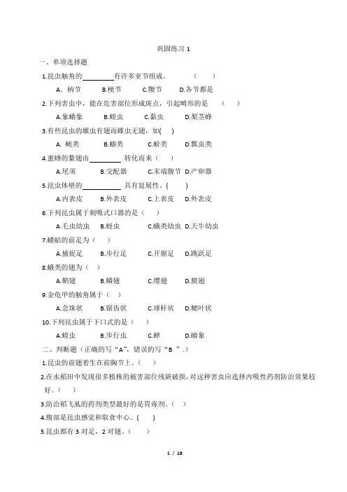 植保综合练习题