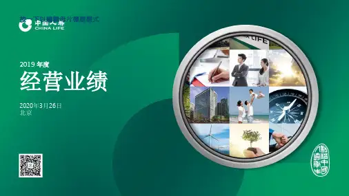 2019中国人寿经营业绩年报41页