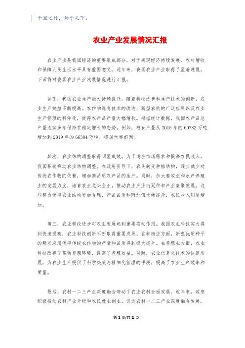 农业产业发展情况汇报