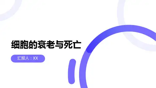 细胞的衰老与死亡