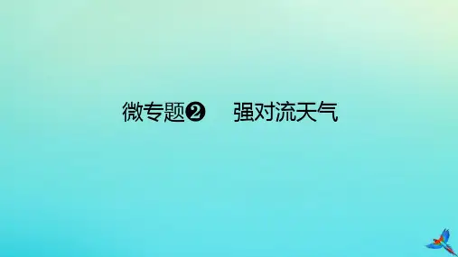 2023新教材高考地理二轮专题复习微专题2强对流天气课件