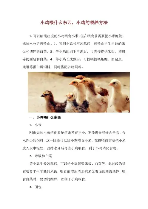 小鸡喂什么东西,小鸡的喂养方法