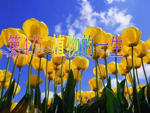1.4植物的一生(1)PPT课件(初中科学)