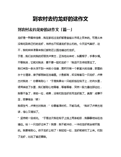 到农村去钓龙虾的这作文