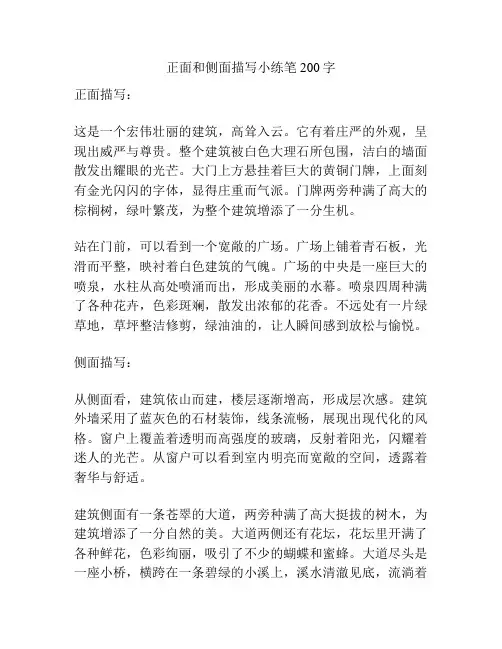 正面和侧面描写小练笔200字