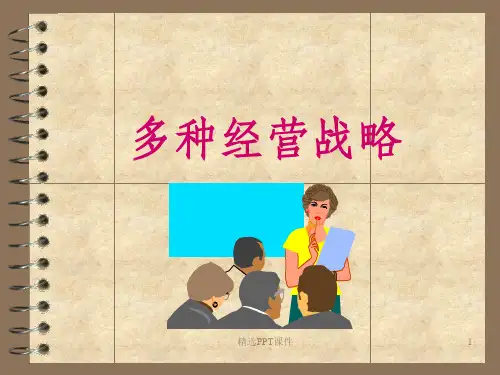 多元化经营ppt课件