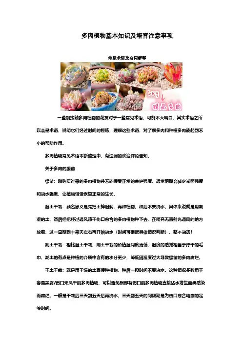 [VIP专享]多肉植物基本知识及培育注意事项