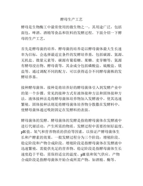 酵母生产工艺