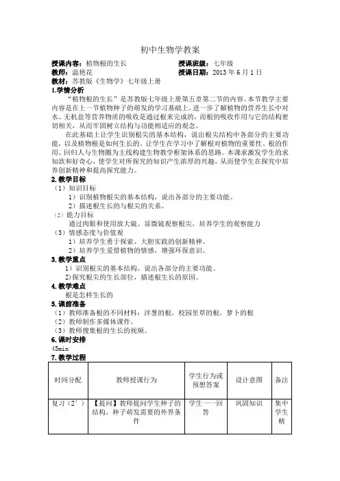 植物根的生长   教案