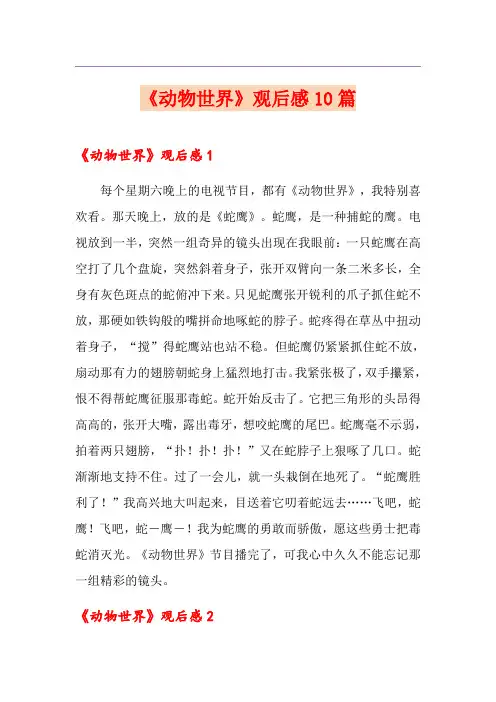 《动物世界》观后感10篇