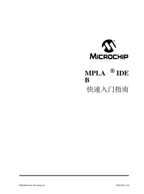 mplab ide使用说明(word文档)