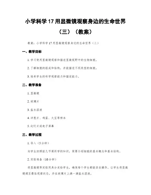 小学科学17用显微镜观察身边的生命世界(三)(教案)