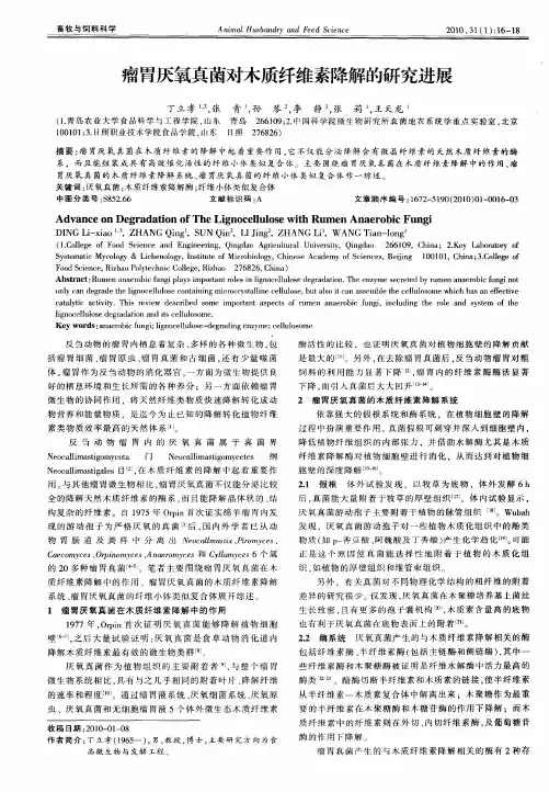瘤胃厌氧真菌对木质纤维素降解的研究进展