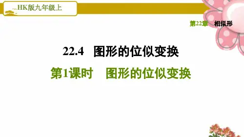 【图形的位似变换】PPT课件
