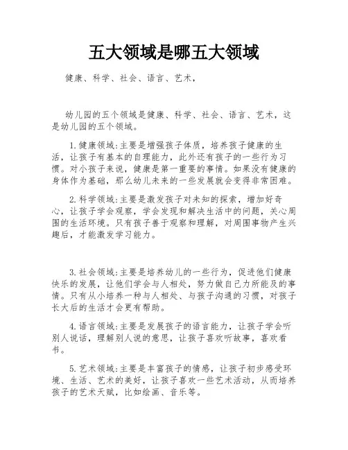 五大领域是哪五大领域