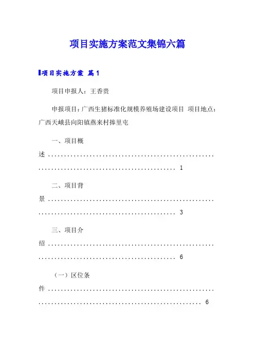 项目实施方案范文集锦六篇