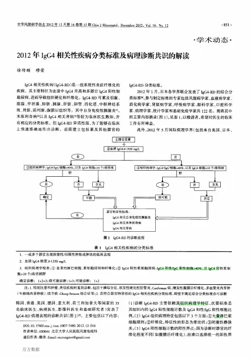 2012年IgG4相关性疾病分类标准及病理诊断共识的解读