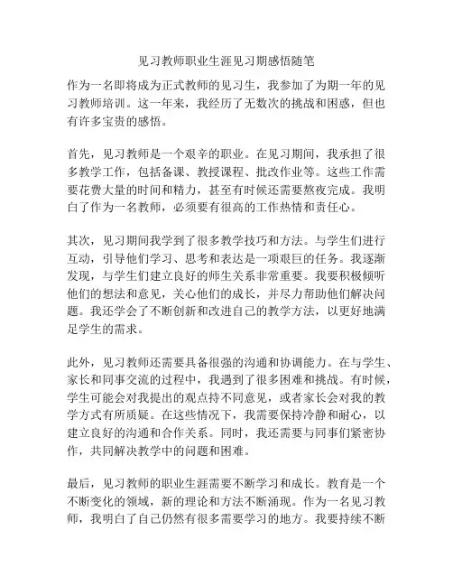 见习教师职业生涯见习期感悟随笔
