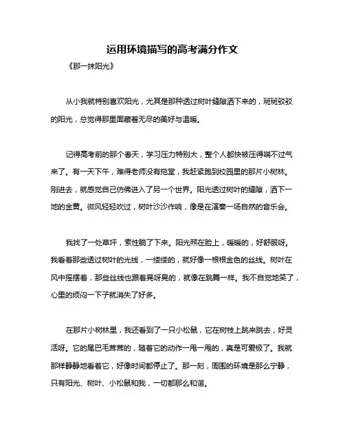 运用环境描写的高考满分作文