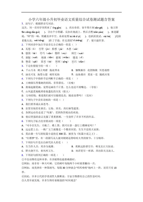 小学六年级小升初毕业语文质量综合试卷测试题含答案