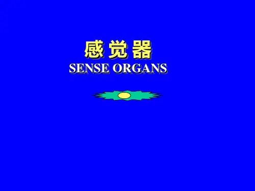 人体解剖学：感觉器