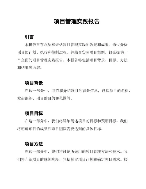 项目管理实践报告