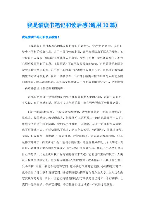 我是猫读书笔记和读后感(通用10篇)
