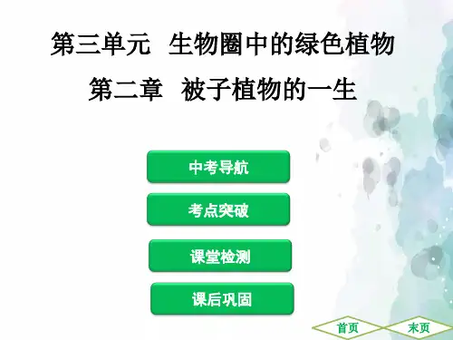 人教版生物-七年级上册-生物复习课件 第三单元 第二章 被子植物的一生