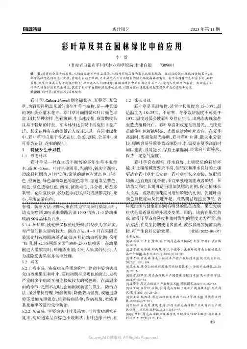 彩叶草及其在园林绿化中的应用