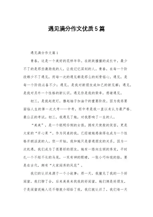 遇见满分作文优质5篇