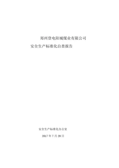 XX煤矿安全生产标准化自评报告
