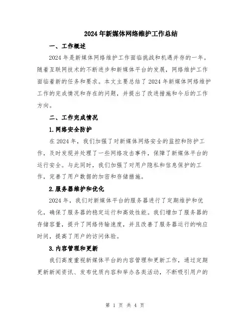 2024年新媒体网络维护工作总结