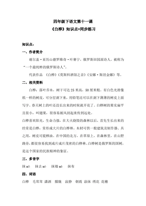 四年级下语文第11课《白桦》知识点+同步练习 含答案 人教统编版