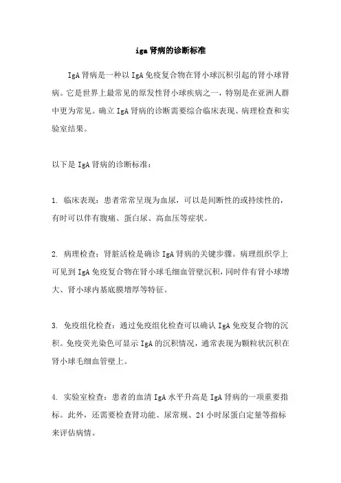 iga肾病的诊断标准