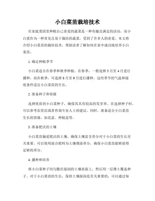 小白菜苗栽培技术