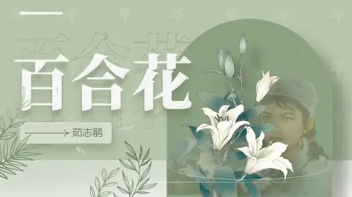 《百合花》ppt课件44张 