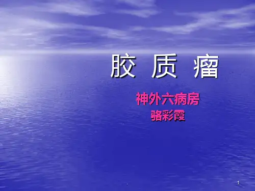 胶质瘤ppt课件