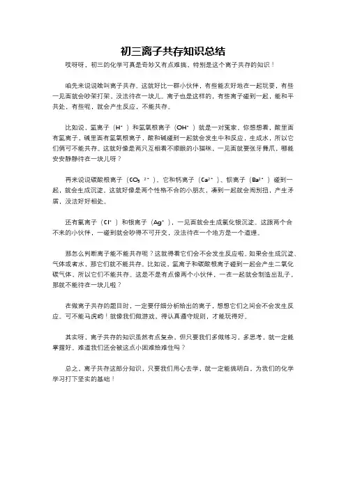 初三离子共存知识总结