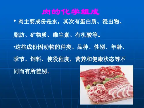 肉的化学组成