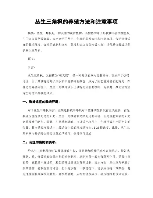 丛生三角枫的养殖方法和注意事项