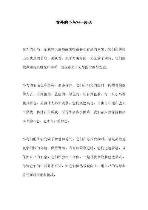 窗外的小鸟写一段话
