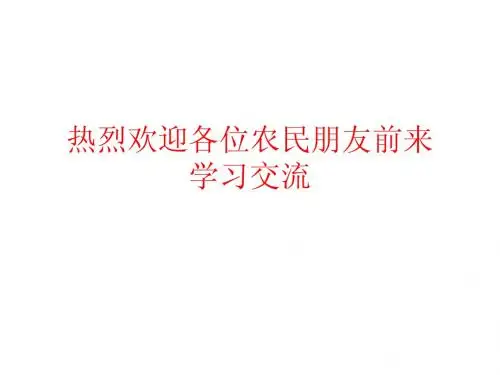 培训科课件