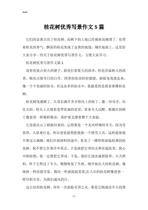 桂花树优秀写景作文5篇