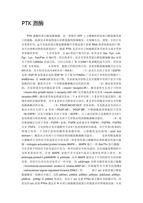 PTK激酶及其检测方法